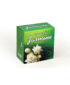 cauvery-jasmine